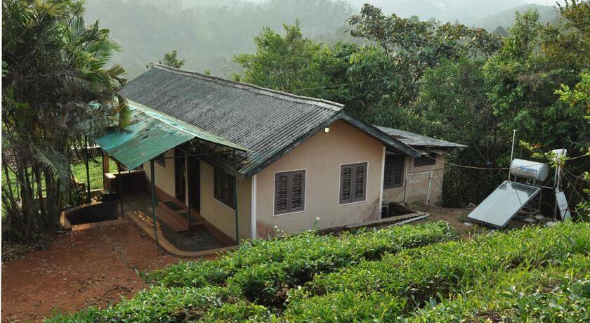 Tea Garden Holiday Home, Wayanad 3